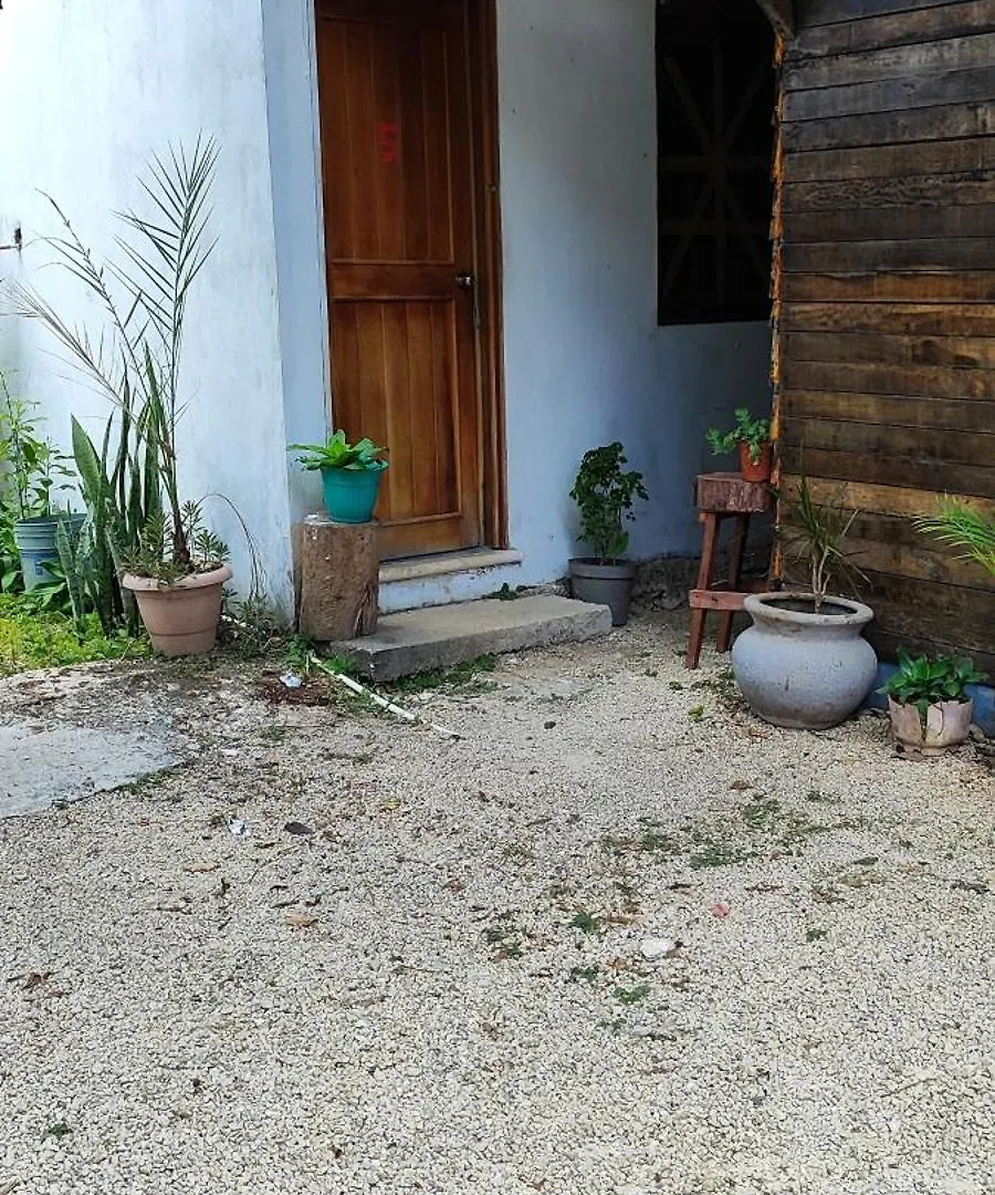 Hostel Ximbal Bacalar Guest house