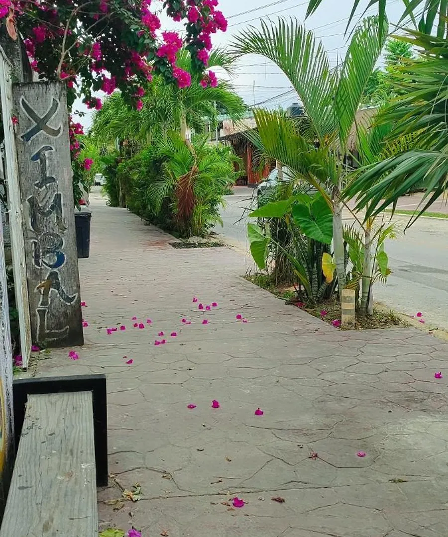 Hostel Ximbal Bacalar Mexico