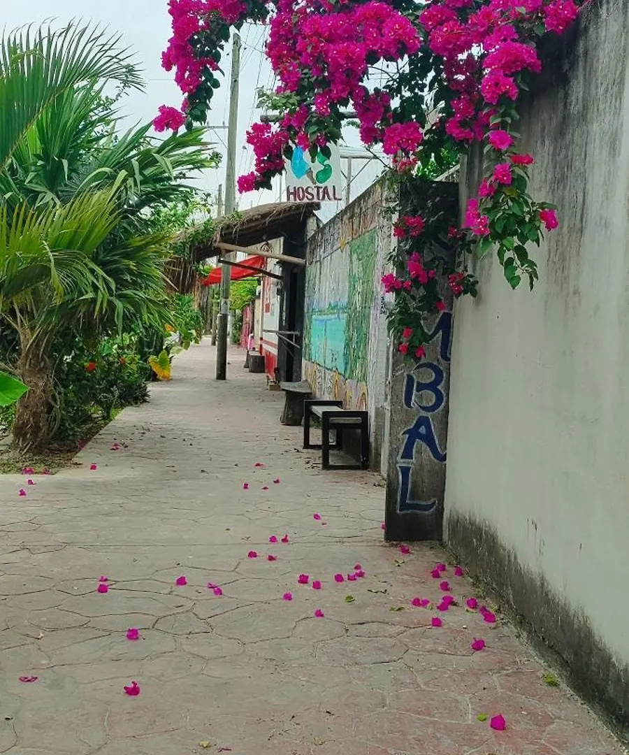 Hostel Ximbal Bacalar